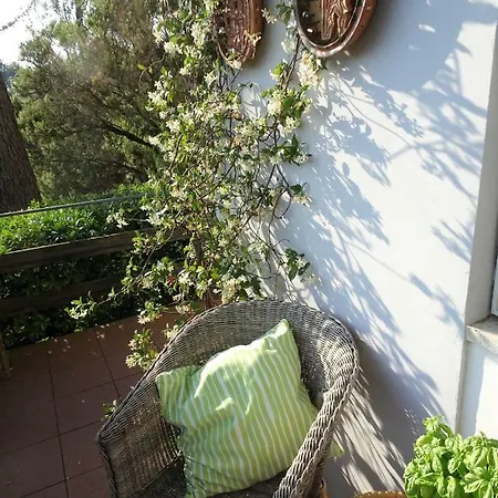 La Sirena Villa